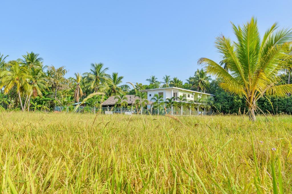 Hotel Ancient Village โปลอนนารูวา ภายนอก รูปภาพ